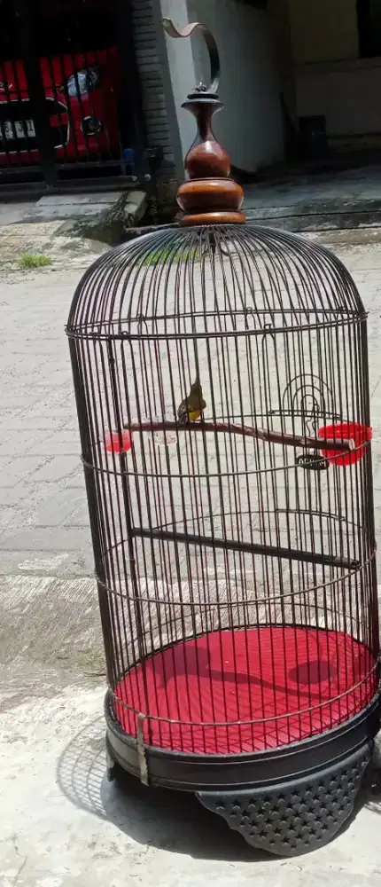 Jual BU Sogon Fulmet (Burja)