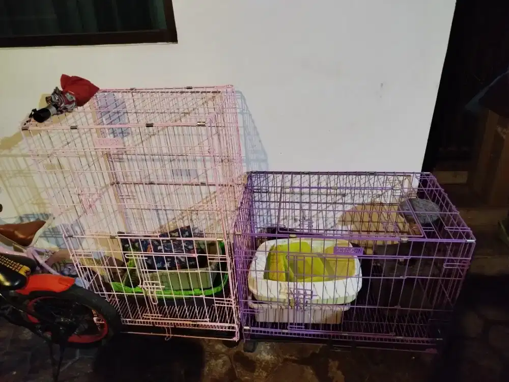 Kandang Kucing Octagon
