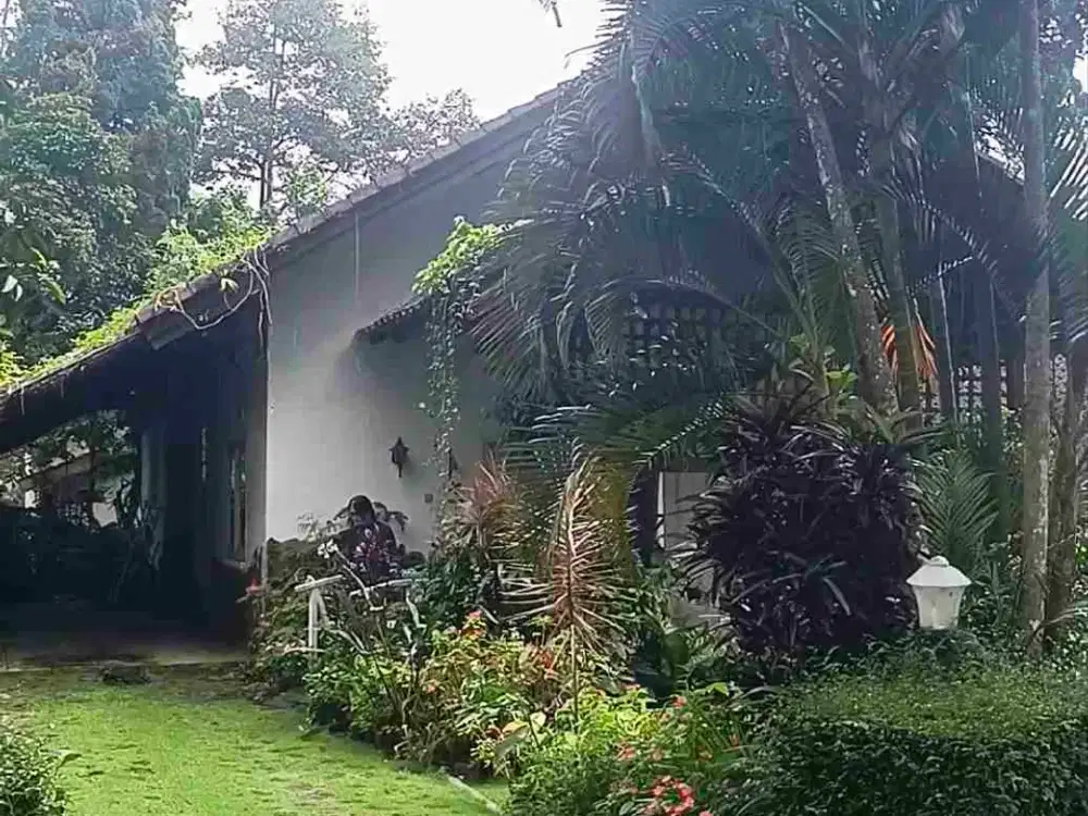 Villa Cantik Grand Trawas