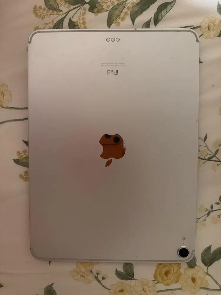 Ipad pro 11inch 1stGen 256GB wificell