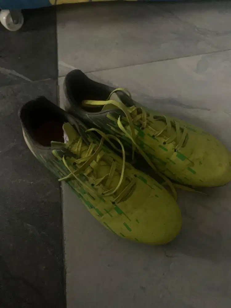 ortus eight uk 41 nego