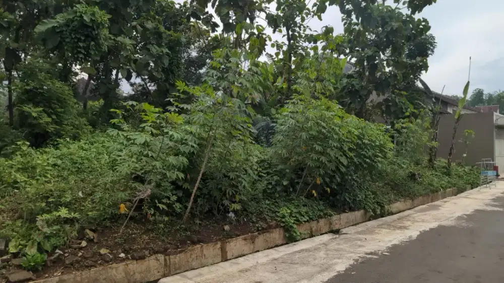 Jual tanah RT 2 puntuk. Balegondo, Ngariboyo , magetan. 1588 m2 SHM.