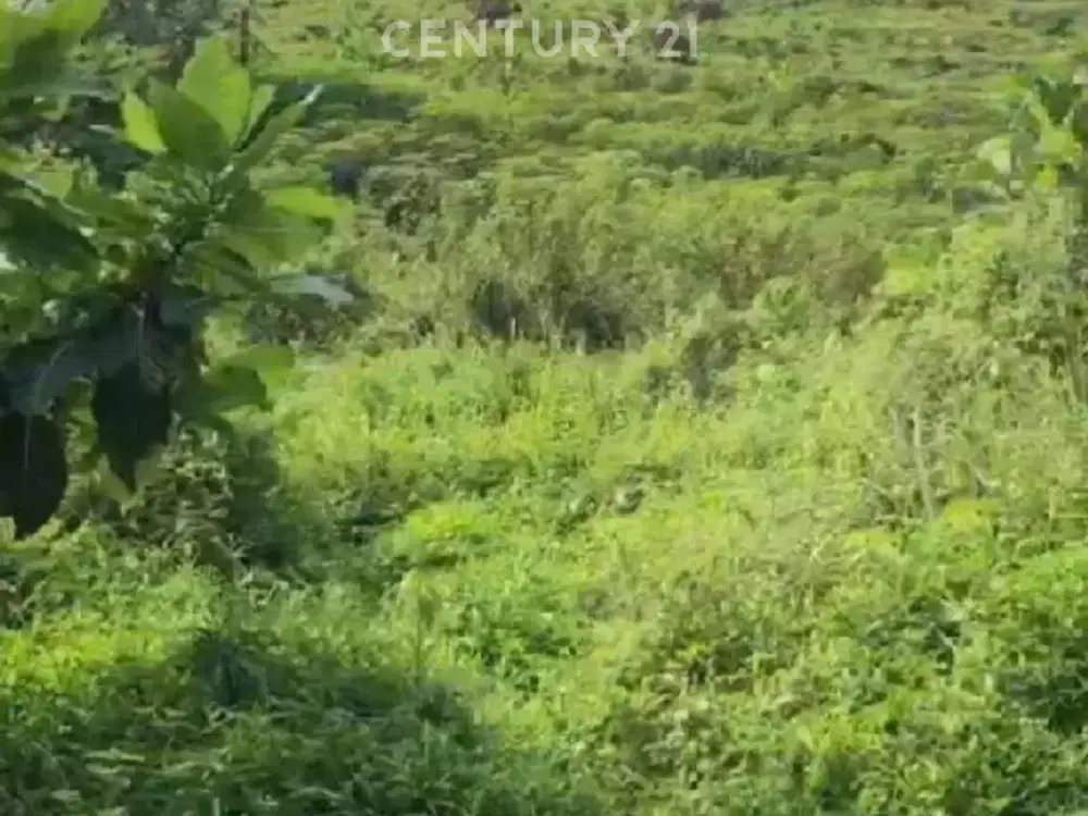 Kavling sentul Lokasi Strategis Dekat Tol Jagorawi
