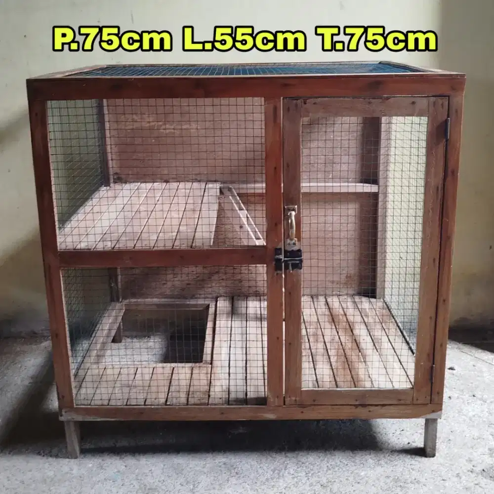 Kandang kucing tingkat