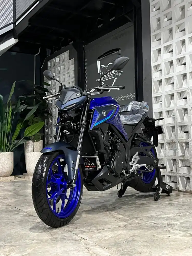 YAMAHA MT25 2023 LOW ODO - Chintia Mustika