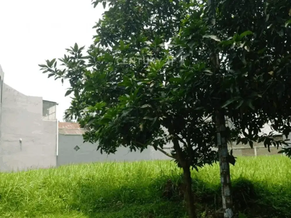 Dijual Kavling Strategis Harga Menarik Di BSD City