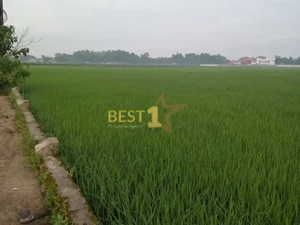 Tanah Luas Harga Terjangkau di Mekarsari Ciparay Bandung – SHM