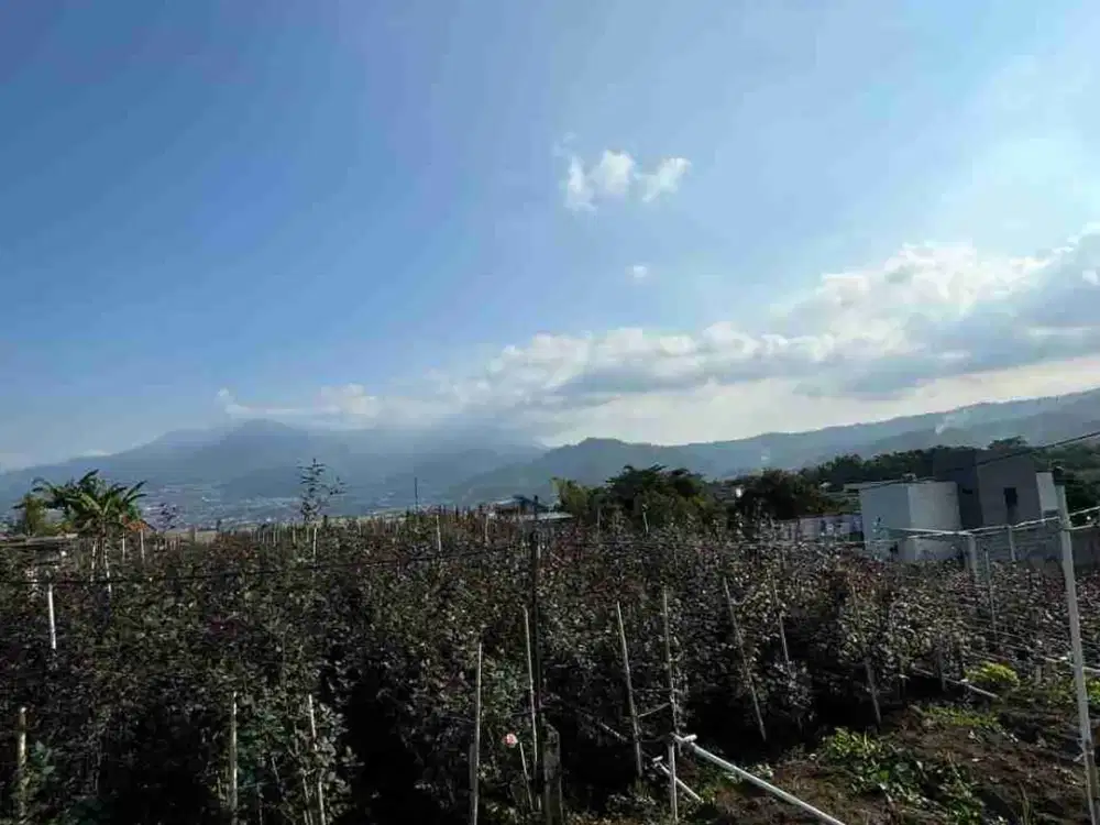 Tanah Strategis Area Villa Kebun Batu!