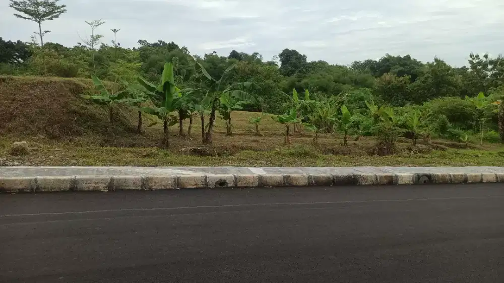 200 m PINGGIR JALAN KAMPUS NEGERI POLMAN PUSAT KOTA MAJALENGKA