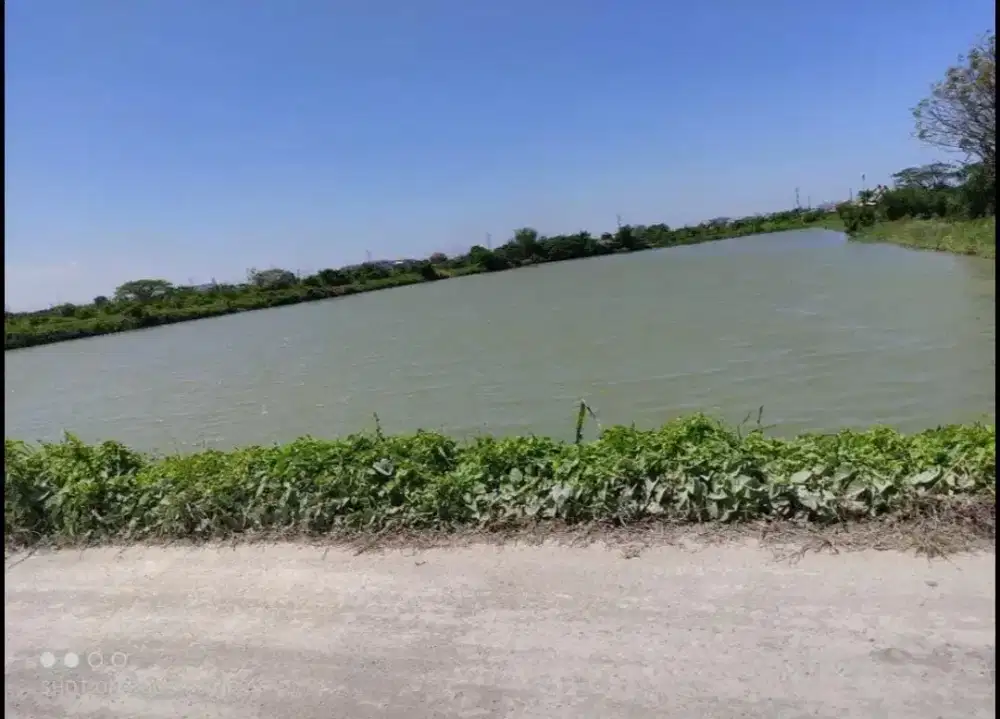 DIJUAL TAMBAK DI SUMBER LANGGENG BENOWO MASIH AKTIF BISA NEGO