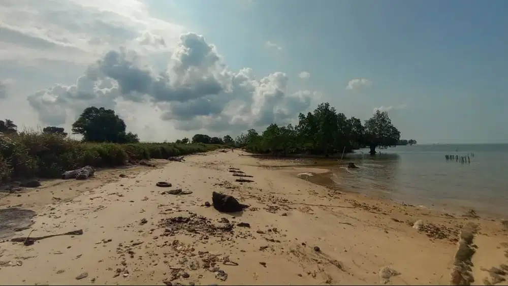 Dijual lahan 5.5 hektar lokasi Sitokok  Jembatan 3 Barelang Batam