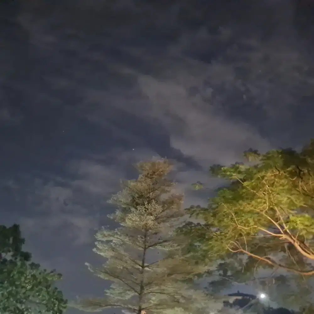 Butuh art buat jaga oma