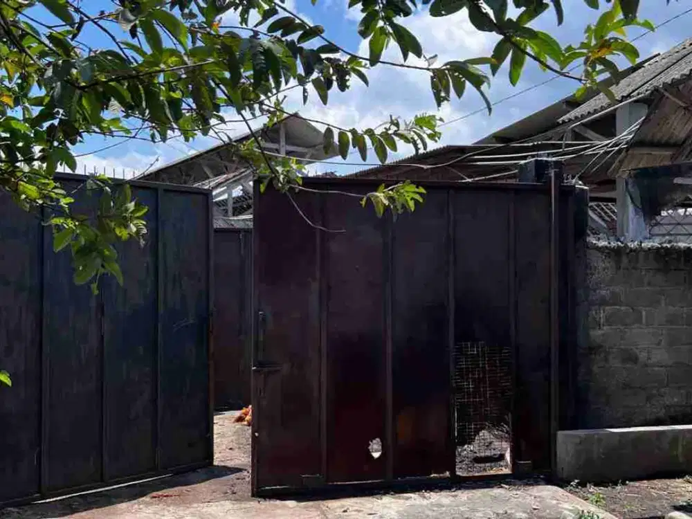 Dijual Via Lelang Tanah dan Bangunan Desa Tutul Kec Balung Kab Jember