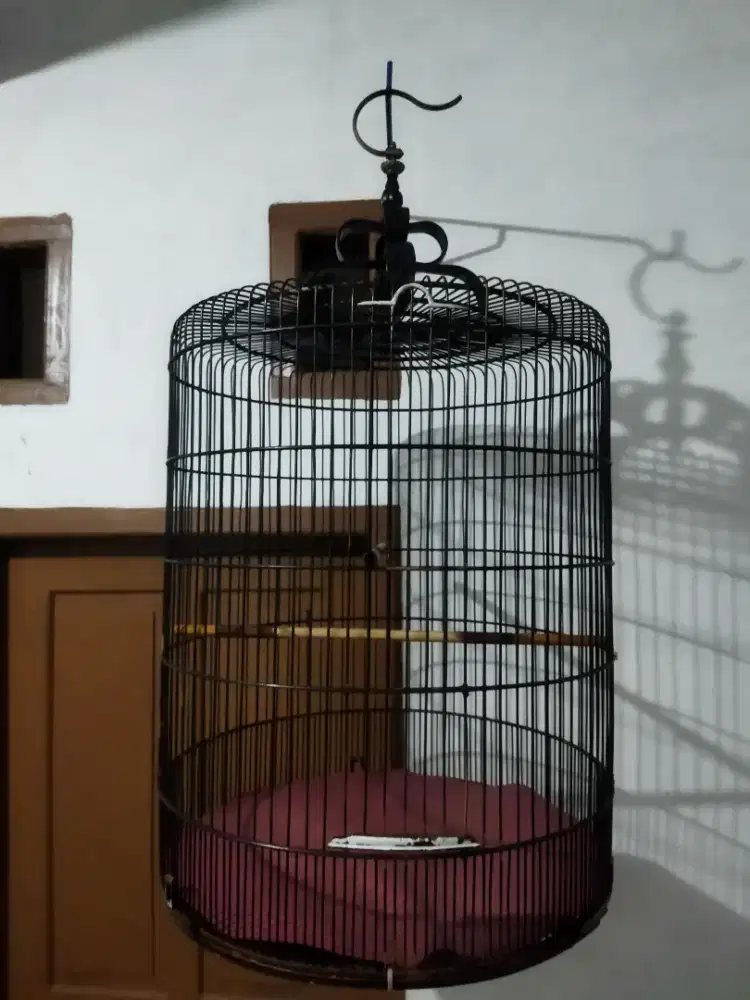 Sangkar murai no 2 baca deskripsi