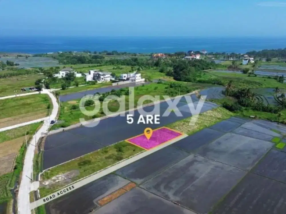 TANAH PREMIUM SIAP BANGUN KEDUNGU DESA BELALANG KEDIRI TABANAN, BALI