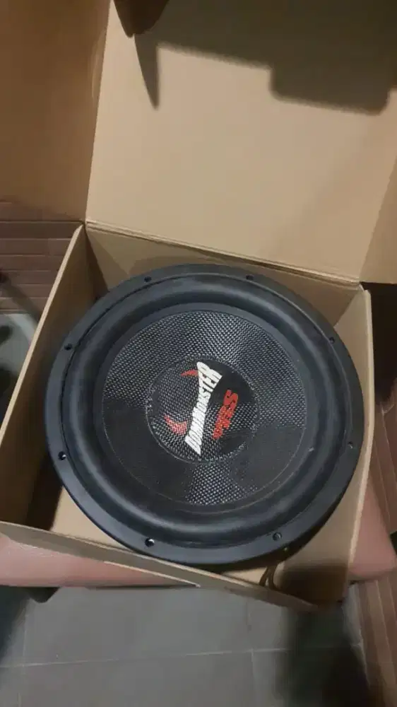 Subwoofer Dominations RS 124 12' domimonster