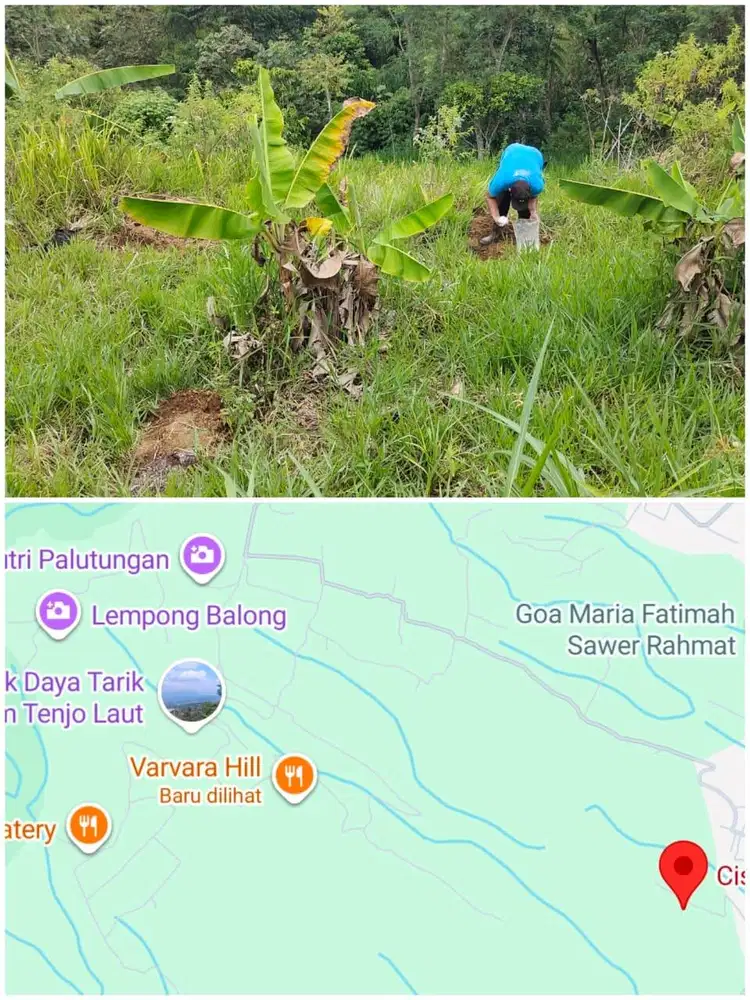 Tanah kebun di Palutungan