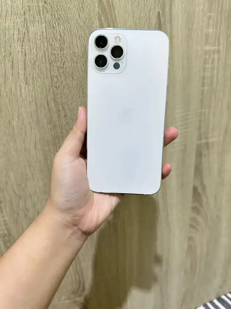 iphone 12 PROMAX 128gb ex inter LL/A