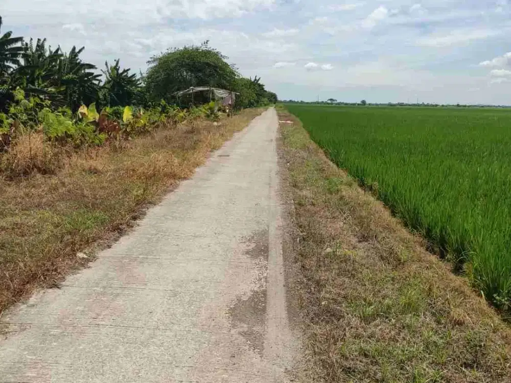 Dijual Tanah di Jalan baru Tanjungpura Luas 3216 m