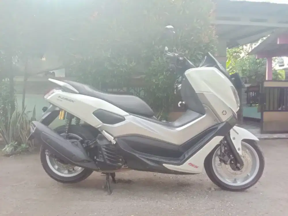 Nmx 2019 pajek mati kaleng mati