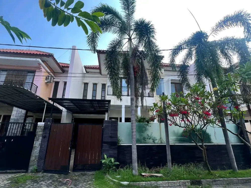 araya 2 dkt semolowaru