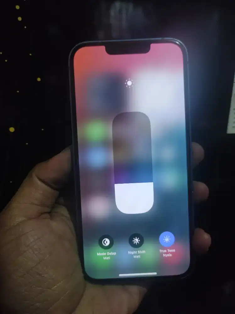 iPhone 13 mulus orian