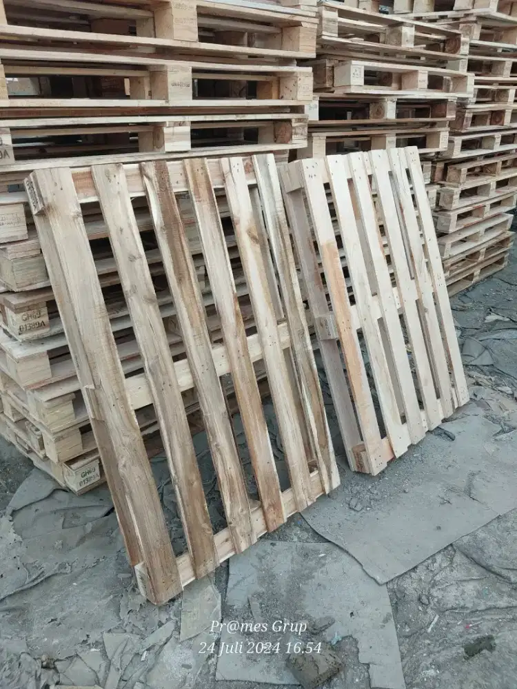 Palet kayu import