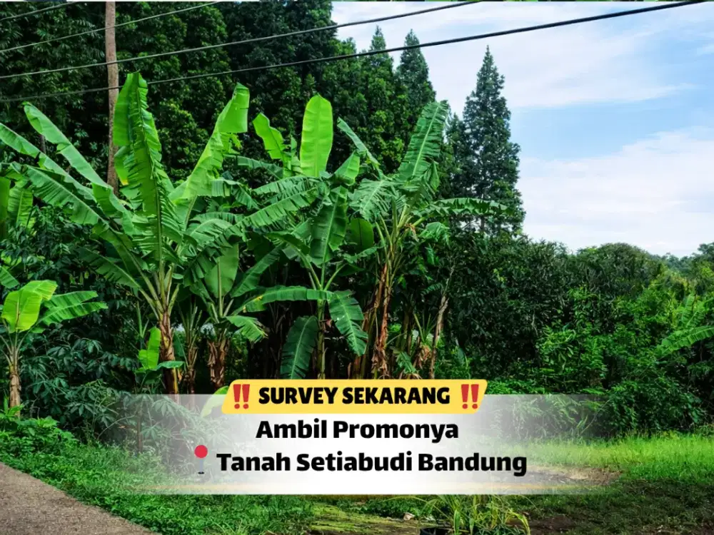 Tanah Luas Setiabudi – Siap Jadi Aset Bernilai!