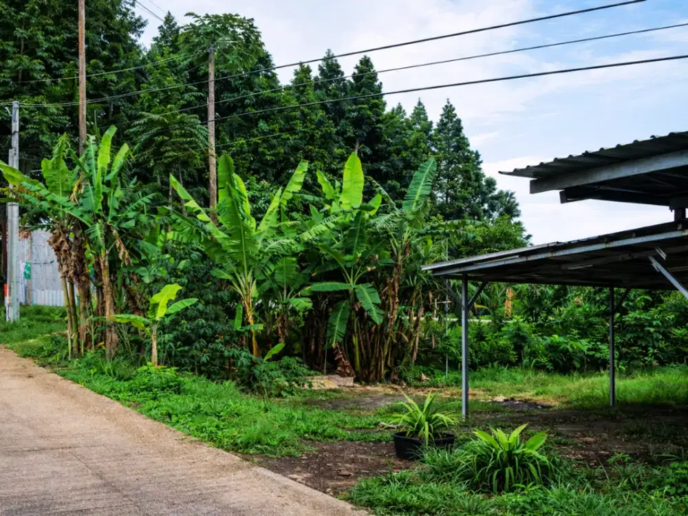 Ambil Sekarang! Tanah Siap Bangun Area Setiabudi