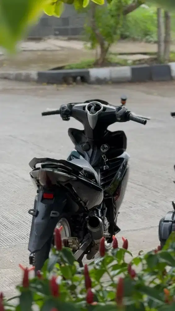 Jupiter mx new 135 spek 62 klep std