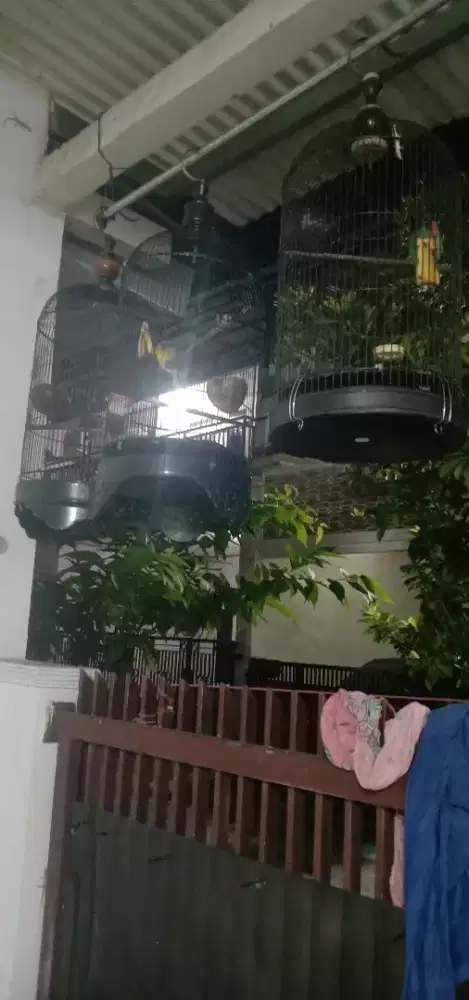 Jual fullset 3 kandang + isinya