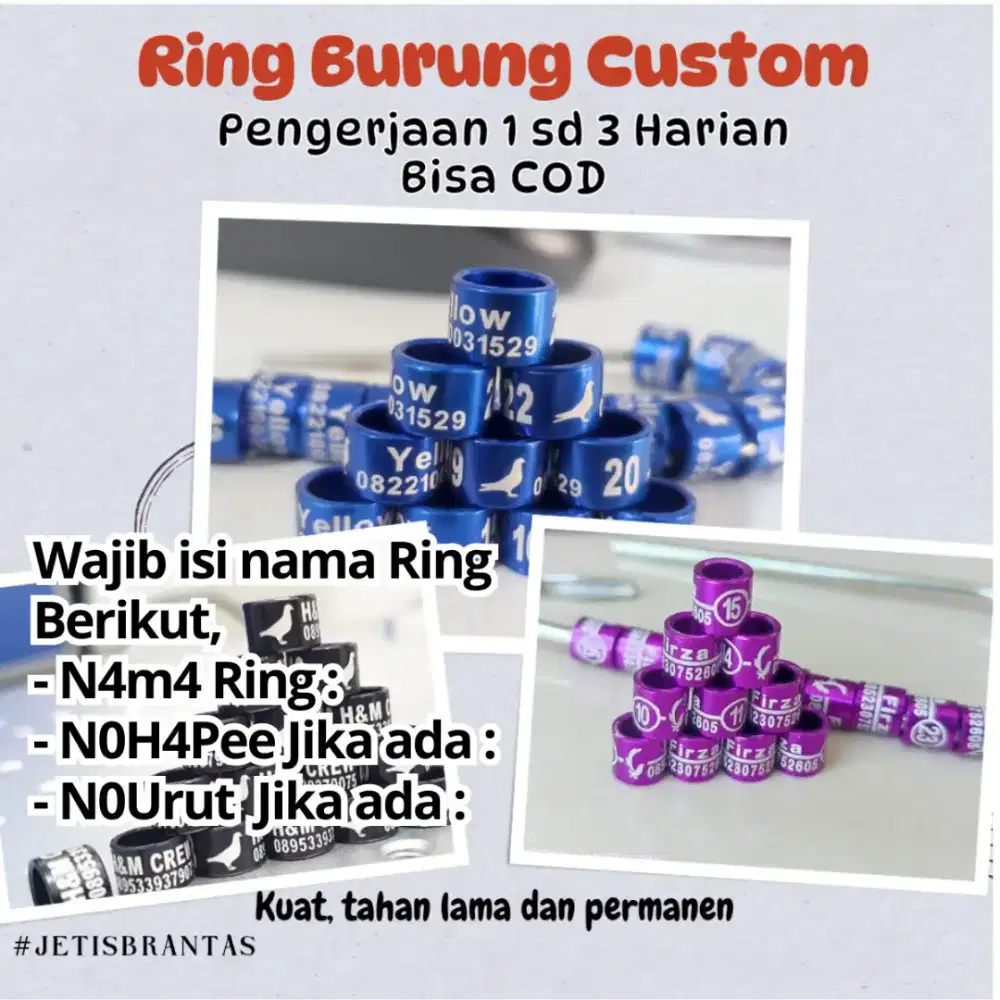 Ring Burung Kenari Murai dll Custom Nama