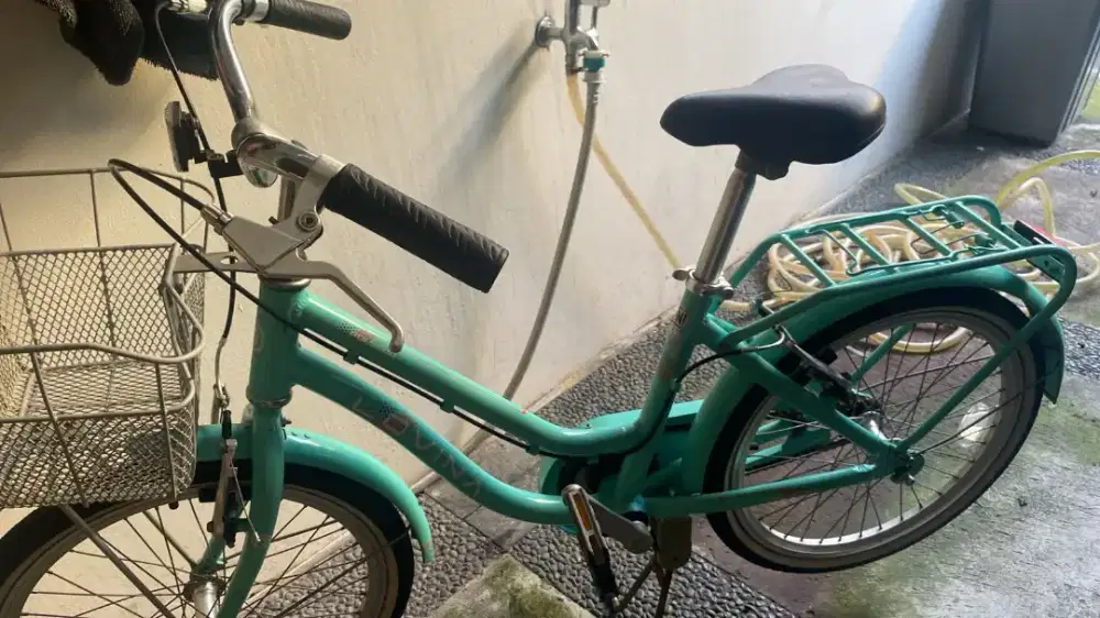 Sepeda speda polygon lovina 20 inch hijau tosca