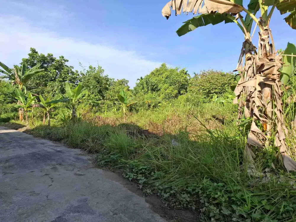 Tanah daerah jalan Daru daru raya, Kapau Sari, kota Pekanbaru