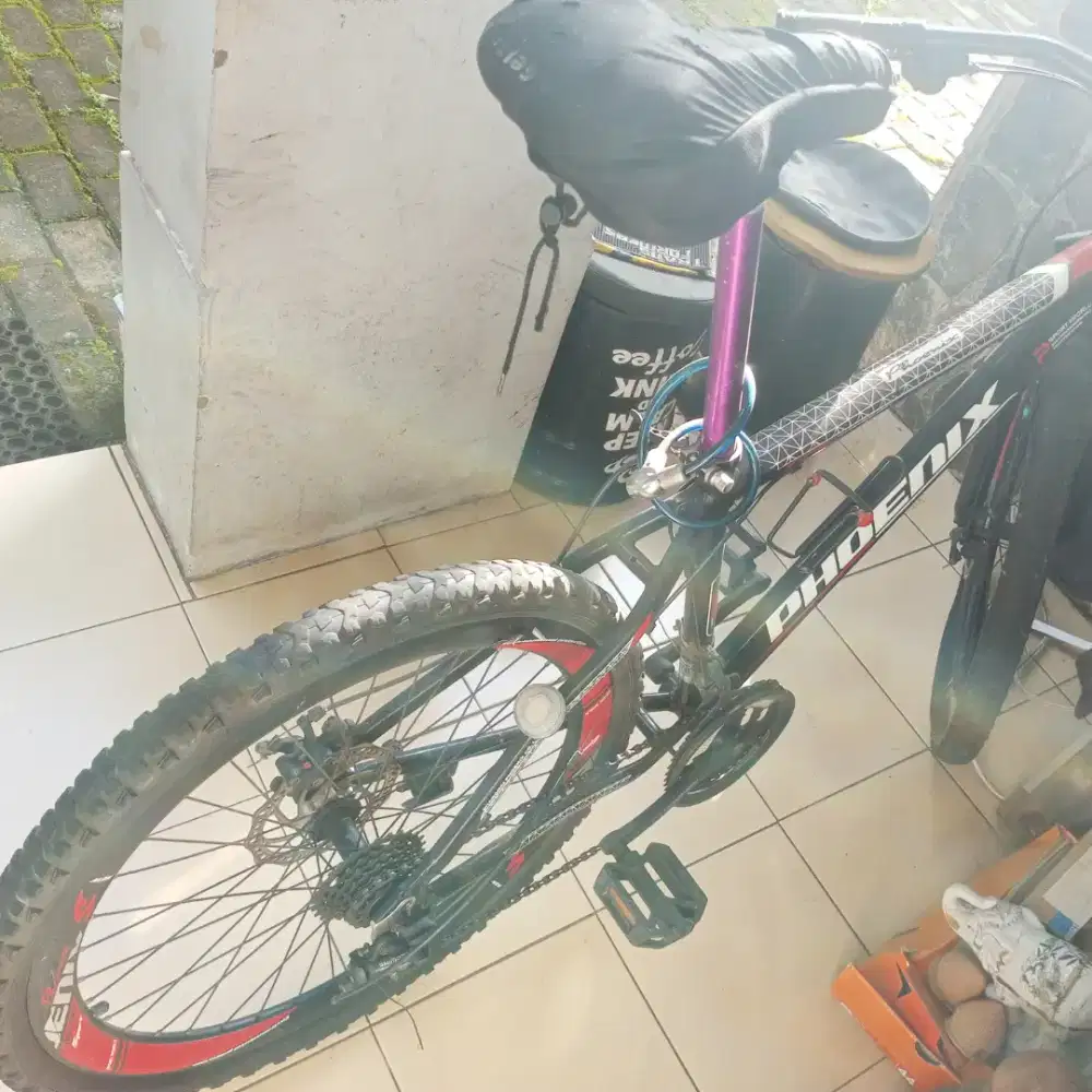 Sepeda MTB 26 merek phoniex