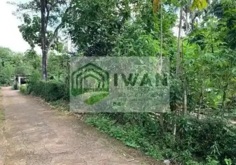 Tanah Pekarangan Luas & Murah Ada Pohon Buahnya