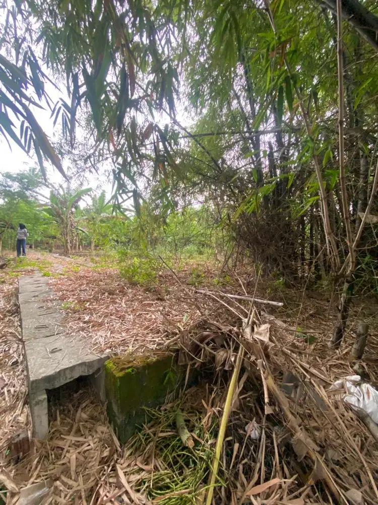 Jual Tanah Bangkingan