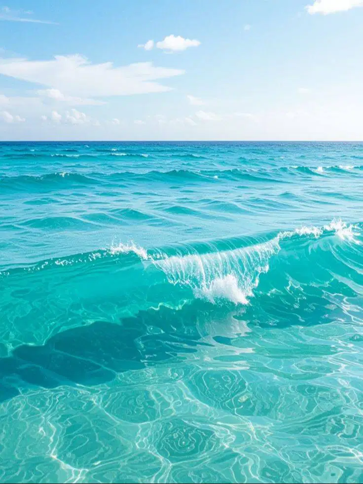 DIBUTUHKAN ART Menginap