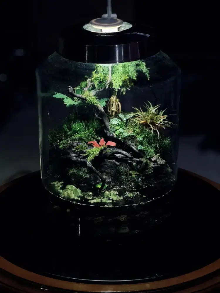 Faludarium keler u/15L