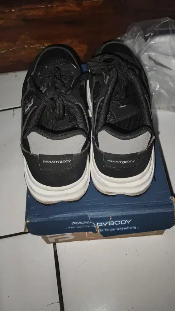 Sepatu Panarybody