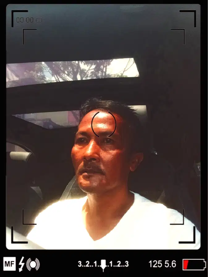 Jasa sopir panggilan