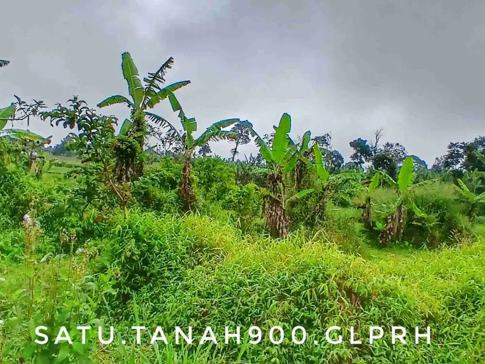 Dijual tanah luas nempel perumahan dekat jalur angkot dekat kota
