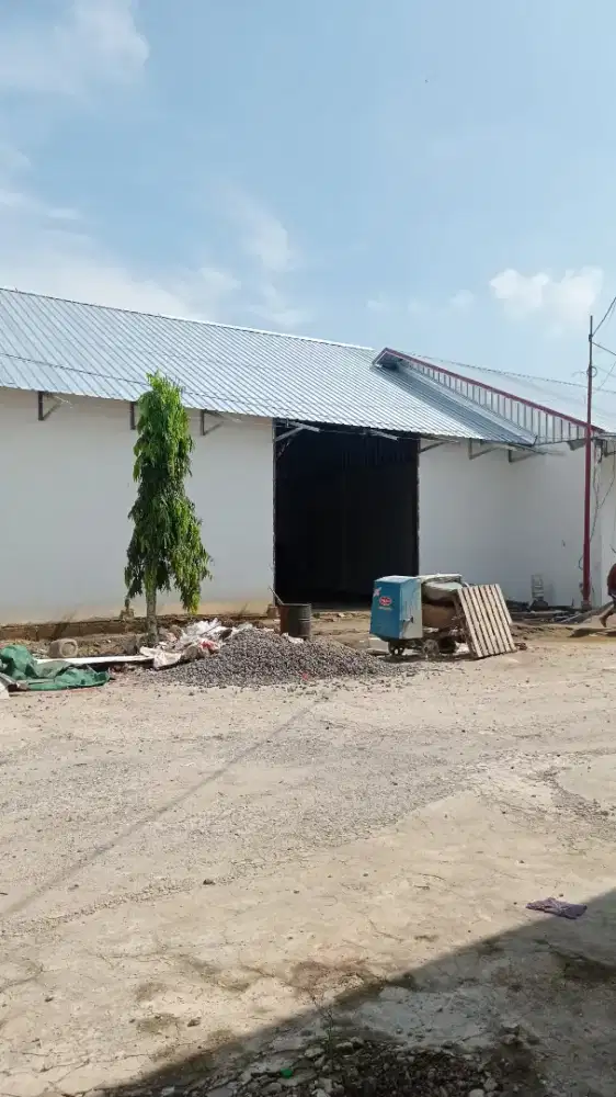 Disewakan gudang murah tanjung barangan