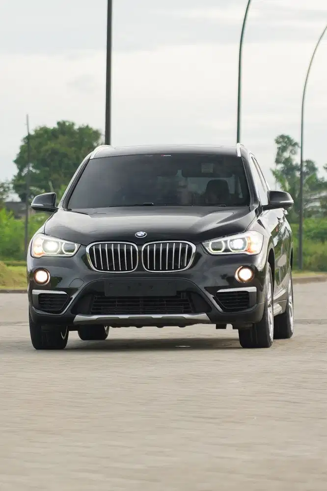 BMW X1 F48 XLine 2019 Panoramic