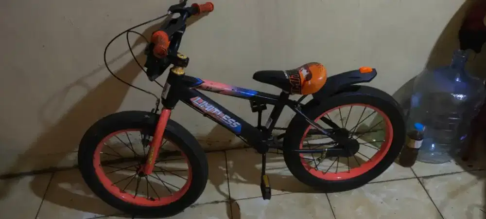 Sepeda limitless