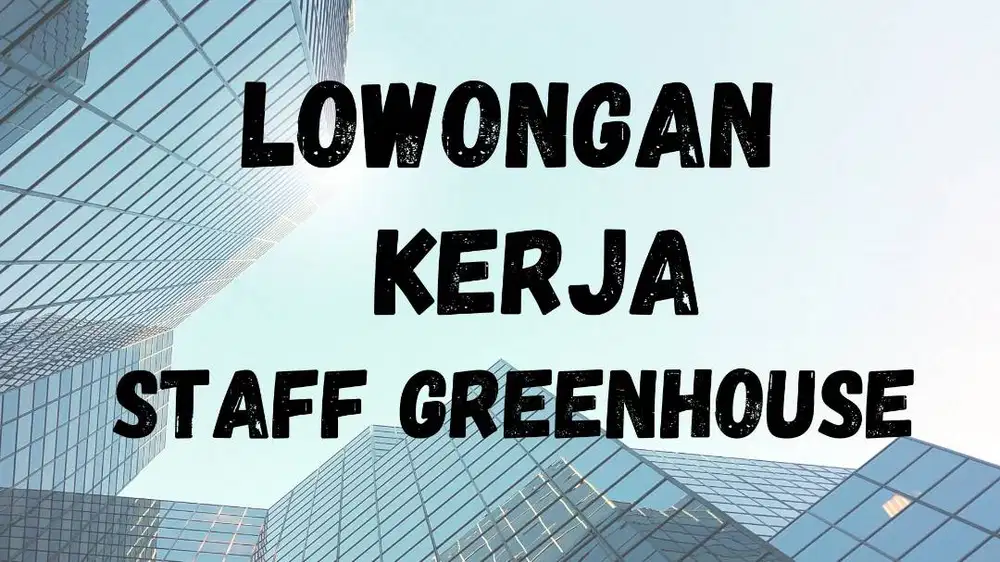 Staff Greenhouse Hidroponik Melon