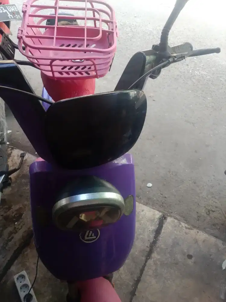 Di jual selis exotic