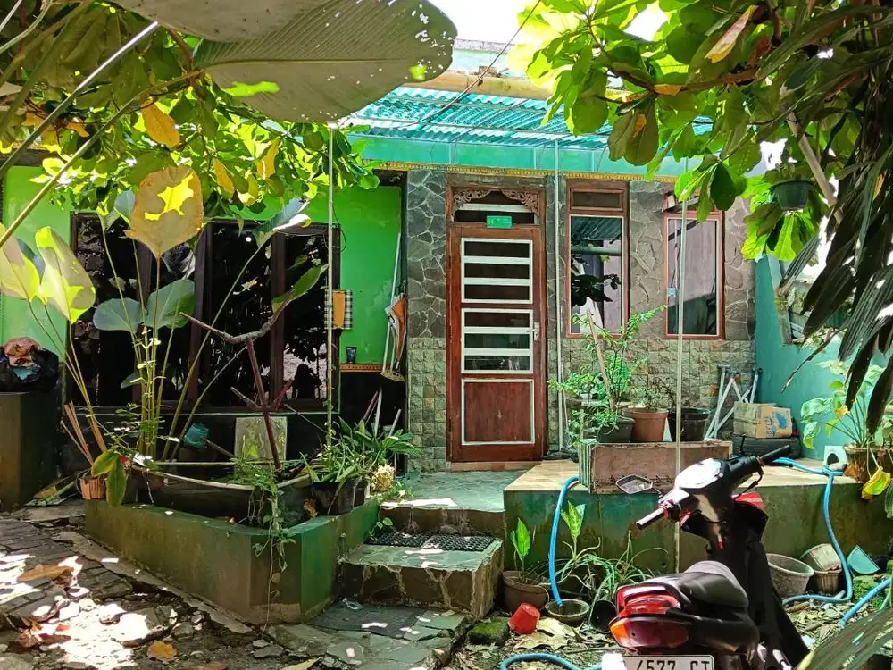Rumah  Asri di JL Kaliurang Yogyakarta