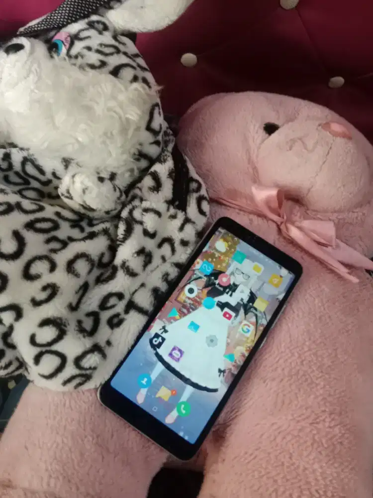 Redmii S2 normal oke