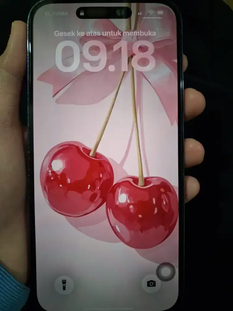 Jual iphone 14pm (purple)